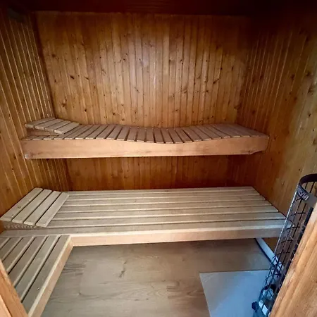 Propriete Moderne 12 Personnes Piscine Sauna Et Salle De Jeux * Hartzviller