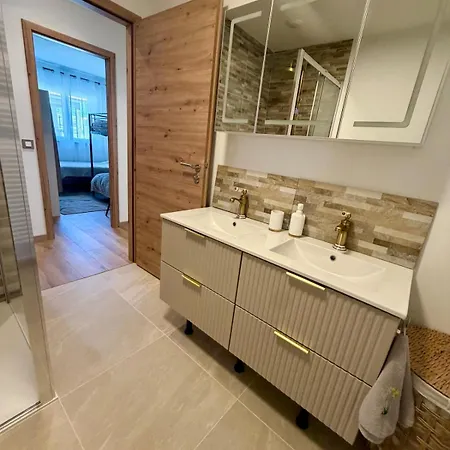 Villa Propriete Moderne 12 Personnes Piscine Sauna Et Salle De Jeux Hartzviller