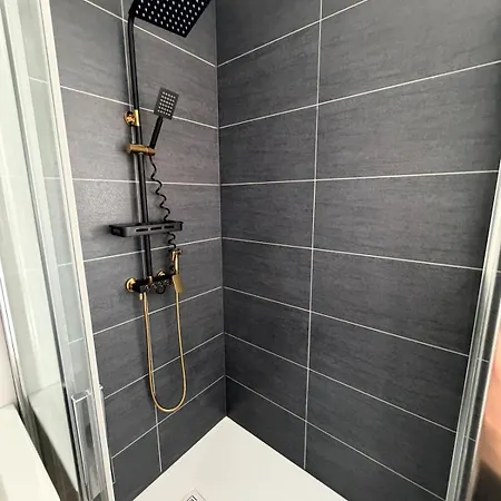 Villa Propriete Moderne 12 Personnes Piscine Sauna Et Salle De Jeux Hartzviller