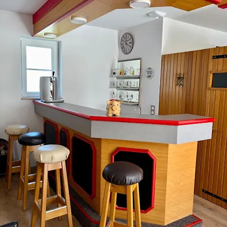 Propriete Moderne 12 Personnes Piscine Sauna Et Salle De Jeux Villa Hartzviller